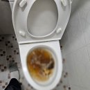 선부동 벽산블루밍 | 안산 선부동 싱크대 막힘 문제로 물이 안내려가요? 이렇게 해결했습니다!