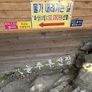 늘푸른산장 | [전남계곡, 광주 근교 추천] 구례계곡 구례&#34;늘푸른산장&#34; 평상 대여 취사 가능