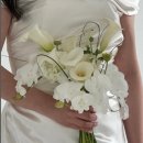 도곡로62길 이미지