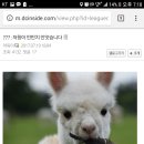 알파PC방 이미지