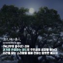 ㈜청춘 | 녹나무의 파수꾼 - 과거를 존중하는 태도로 주인공의 성장을 품는다 / 줄거리 결말 후기 정보 명대사 해석