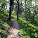 동강전망휴양림오토캠핑장 이미지