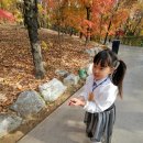 관음반 박유나의 주말이야기 이미지