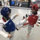 한양대 그레이트태권도장 이미지