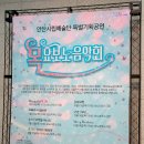 안산시립예술단 2023 목요보노음악회 네이버블로그