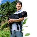 나나목장 이미지