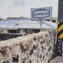 여기우다 이미지