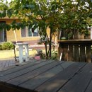 양사초등학교병설유치원 이미지