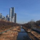 독골하천 티스토리