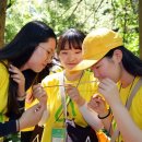 청태산그린 이미지