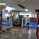 수년복싱체육관 이미지