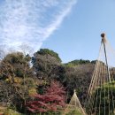 일본 도쿄여행 히고 호소카와 정원(肥後細川庭園)후기