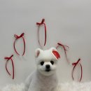 그루밍샵 이미지