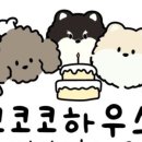 코코코하우스(COKOKO HOUSE) 이미지