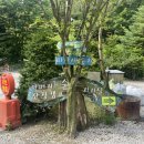 아버지의 숲 산정캠프 이미지