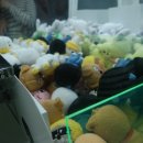 프랜즈 인형뽑기 이미지