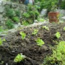 이정복농장 이미지