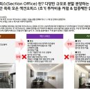삼정(남) 이미지