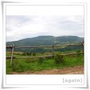 삼양농장 이미지