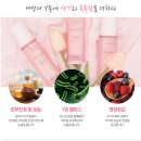 엑스디어