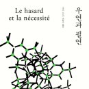 우연과감상 이미지