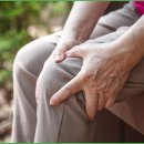 365용호한의원 이미지