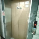 강서하이동물병원 이미지