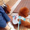 아띠모리 이미지