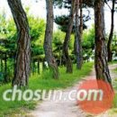 서리풀공원1-20 이미지