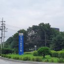 여주-1030 이미지