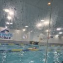 아이엠 키즈 스윔스쿨 이미지