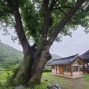 파랑새 행정사 사무소 이미지