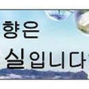 덕치구담마을 Daum카페