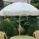 개들랜드 이미지