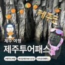 제주여행모던투어 | [제주도 제주시]제주 가성비 여행 필수템 제주투어패스 내돈내산 후기｜관광 지도·가볼 만한 곳...