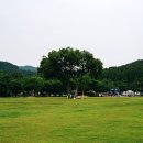 대청공원 놀이터 이미지