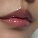 번트시에나 | 정샘물뷰티 신제품 | 립프레션 메탈 세럼 글로스 #번트시에나 후기