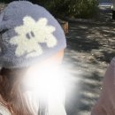 여주-1029 | ⋆⁺₊⋆ ☾ 우울해지지말고... 우웅해지십시오...⋆⁺₊⋆ ☁︎