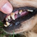 명성동물병원 이미지