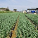 귀동농장 이미지