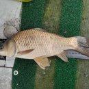 천동낚시 이미지