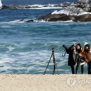 경포의휴일 이미지