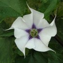 반포삼정공인중개사사무소 이미지