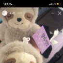 개쩐다뽑기 이미지