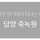 정카페(JUNG CAFE)