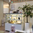 올봄 한의원 이미지