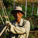 백수농장 이미지