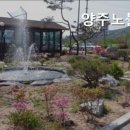 양주노블케어
