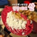 카페 산 | 단양 카페산 사과빵 내돈내산 후기