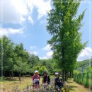 내곡동277 이미지